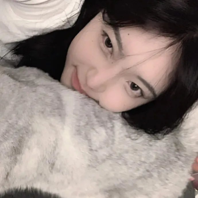 香格里拉下雪了吗